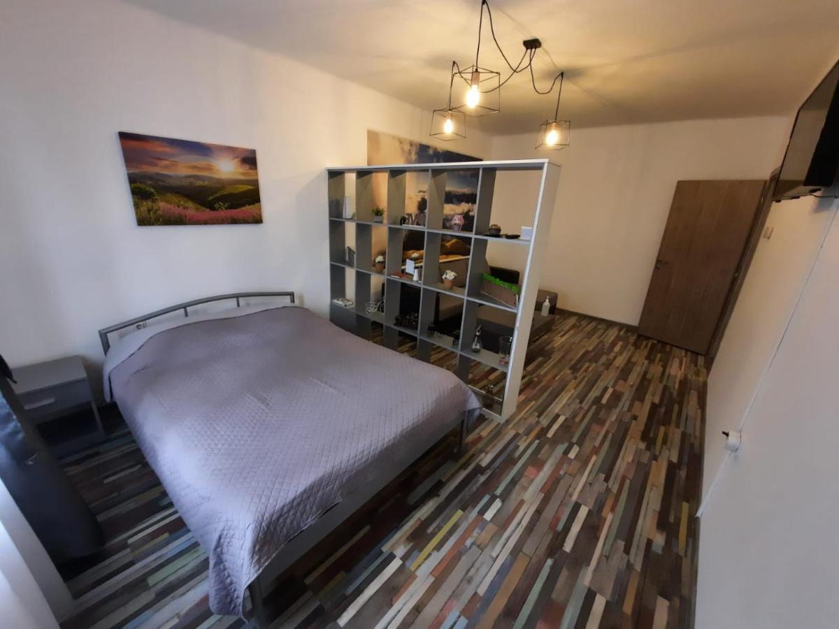 Croma Studio Petrosani Apartment Екстериор снимка