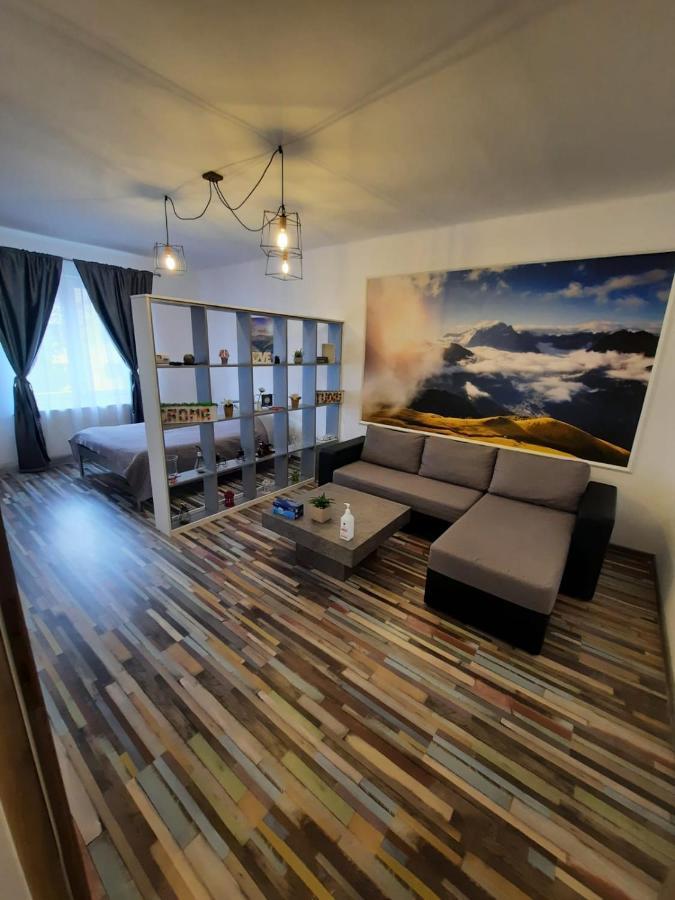 Croma Studio Petrosani Apartment Екстериор снимка